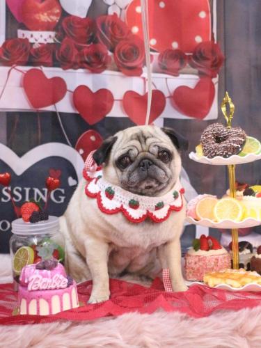 20250208くりこちゃん 